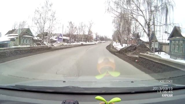 Сова днем в поселке Николо Павловское пригорода Нижнего Тагила смотреть онлайн