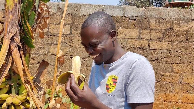 Как кушаем свежие бананы прямо с бананового дерева дома в Африке смотреть онлайн
