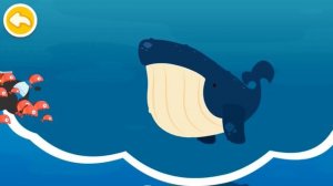 Морские животные