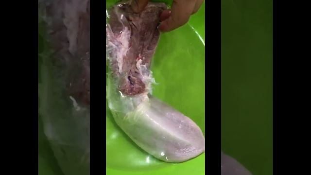 Как готовить хаш How to cook khash Xaş necə hszırlanır #хаш #khash #xaş #xash смотреть онлайн