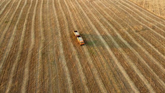 Волгоград! Уборка зерновых 01.08.2022 смотреть онлайн