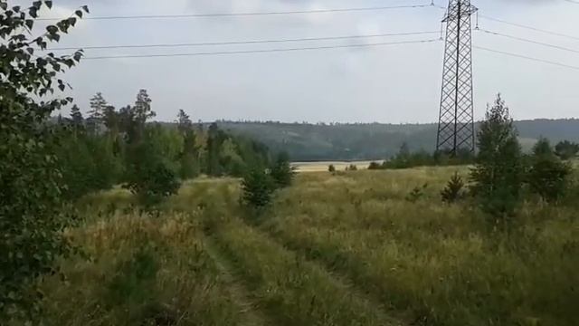 Грибы в Иркутске смотреть онлайн