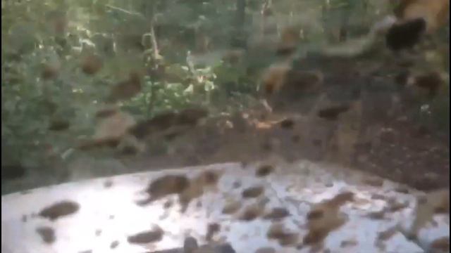 Поездка на водопад "Куперля"УАЗ 3153 "ДИКИЙ СТРЕЙЧ" смотреть онлайн