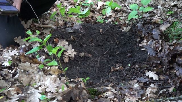 Секрет плодородия! смотреть онлайн