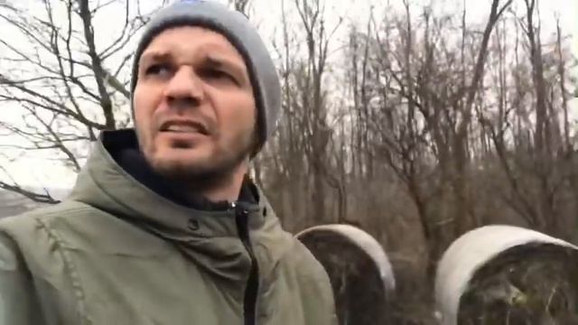 Egy utolsó erdő смотреть онлайн