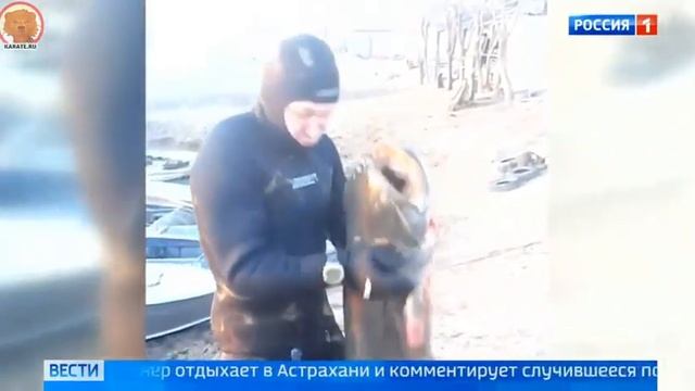 Ударивший ребёнка тренер кудо будет привлечён к уголовной ответственности смотреть онлайн