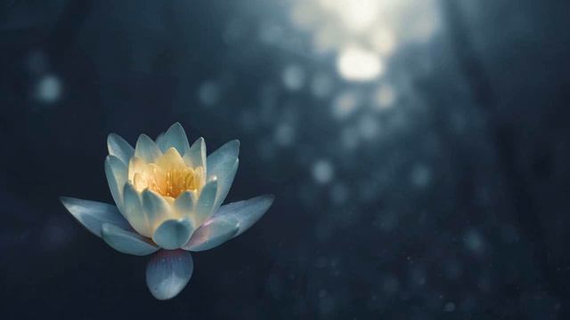 Медитация для исцеления болезней смотреть онлайн