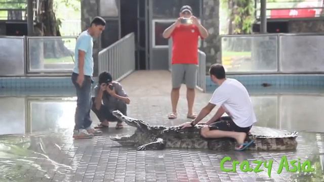 CRAZY ASIA: крокодиловая ферма в Паттайе смотреть онлайн