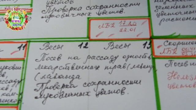 Календарь цветовода на февраль 2020 года. Семена каких цветов можно посеять на рассаду в феврале? смотреть онлайн