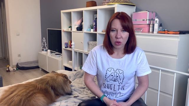 Режим дня щенка. Как НЕ ВСТАВАТЬ рано смотреть онлайн