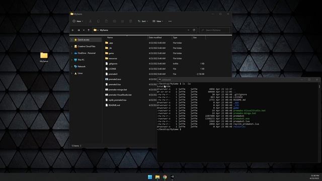 Two Step Setup for a Raylib project with Visual Studio, and GCC (On windows and linux) смотреть онлайн