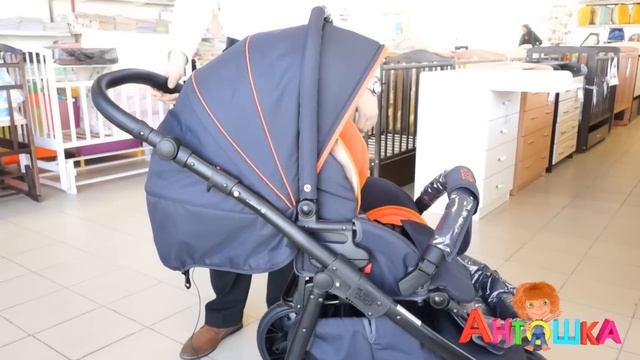 Коляска детская Tutis Zippy New смотреть онлайн