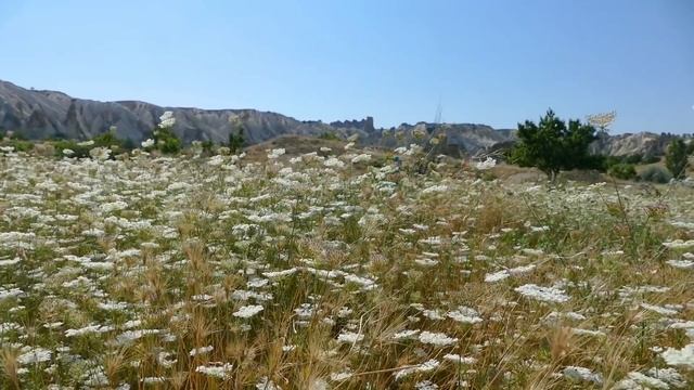 CAPPADOCIA TURKEY - Hiking the valleys of this World Wonder смотреть онлайн