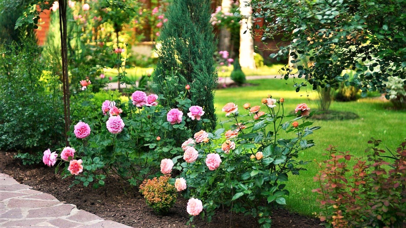 ?50+Очаровательных примеров садового декора / Great Garden Decor Ideas / A - Video