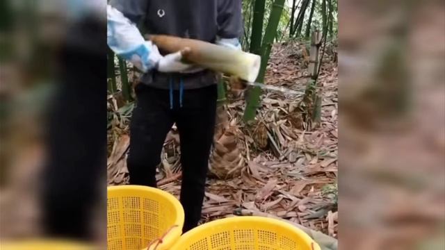 залипательное видео смотреть онлайн