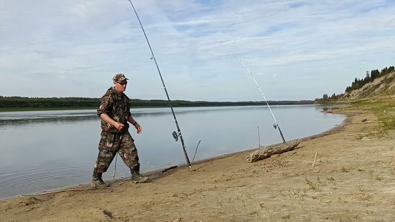 Сентябрьские лещи и язи на донку. День третий. смотреть онлайн