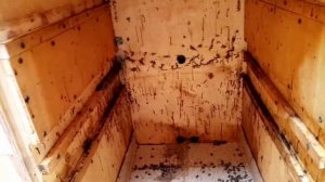 Применение чистотела в пчеловодстве для дезинфекции ульев и пчеловодного инвентаря.