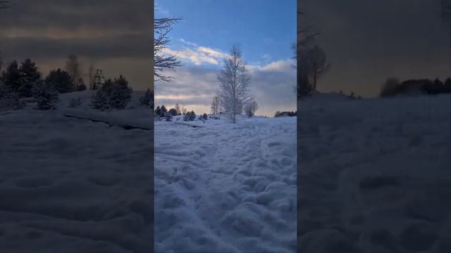 Петрошина л-275 и петруха + шипы. Зимнее эндуро смотреть онлайн