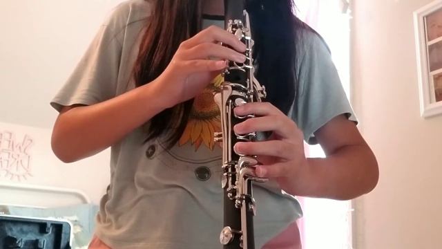 Waterfall (Undertale) Clarinet cover смотреть онлайн