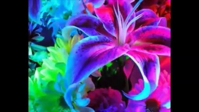 Как букет искусственных цветов -Маугли смотреть онлайн