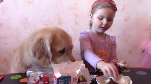 Золотистый ретривер Граф и Алиса выращивают яйцо с игрушкой и открывают киндеры сюпризы рыбка Немо