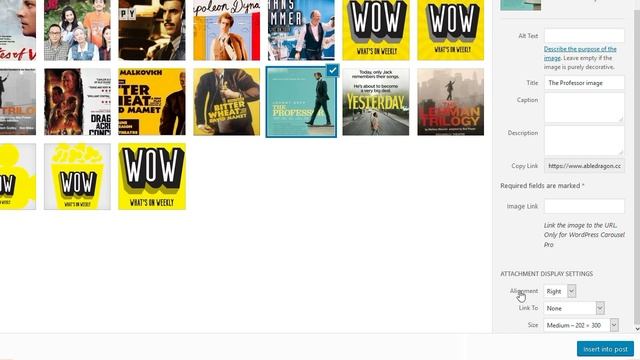 How to Insert an Image into a WordPress Post смотреть онлайн