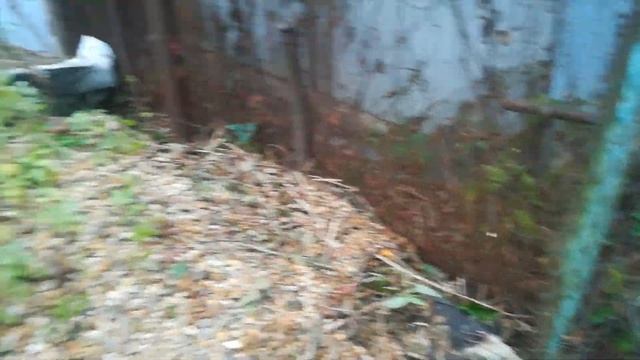 30 сентября 2021 г. Формирую боярышник смотреть онлайн