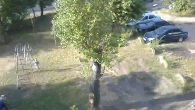 "ДЕТСКАЯ ПЛОЩАДКА" в доме, где 10 лет старшей по дому является ГЛАВНЫЙ ИНЖЕНЕР УПРАВЛЯЮЩЕЙ ЖКХ!!! смотреть онлайн
