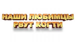 Мадагаскар 2 трейлер 1   2008