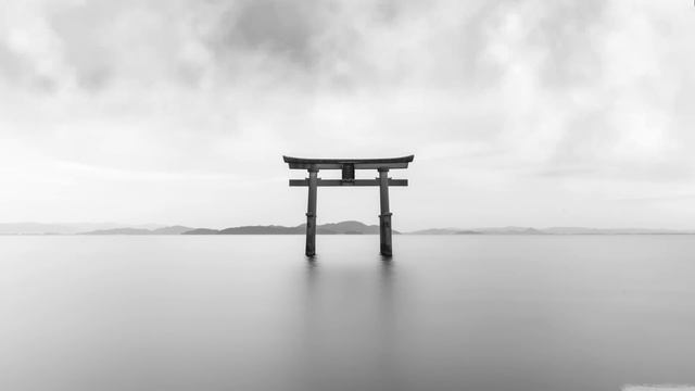 Tori Gate Black and White Wallpaper Engine смотреть онлайн