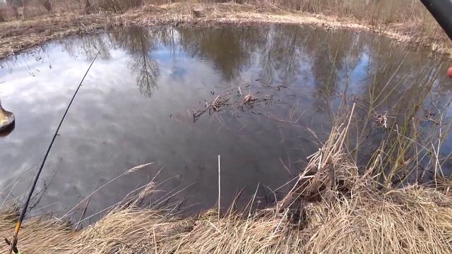 Рыбалка ранней весной! В поисках линя! смотреть онлайн