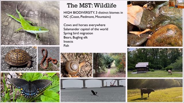 Hiking for Habitat: Lessons from the Trail and the Value of Environmental Stewardship смотреть онлайн