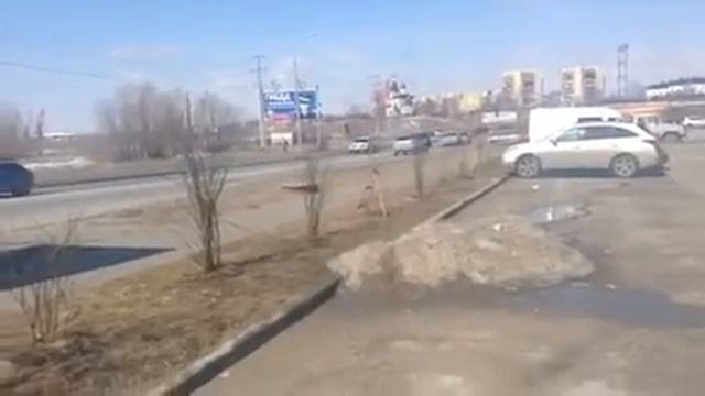 ТЦ ЗЕЛЕНЫЙ БЕРЕГ смотреть онлайн