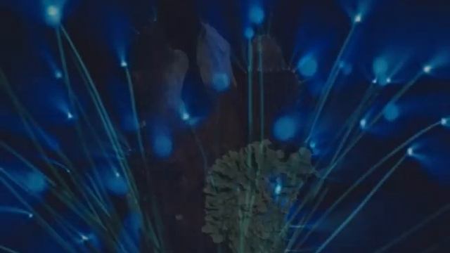 Эффект Кирлиана. Выставка. смотреть онлайн