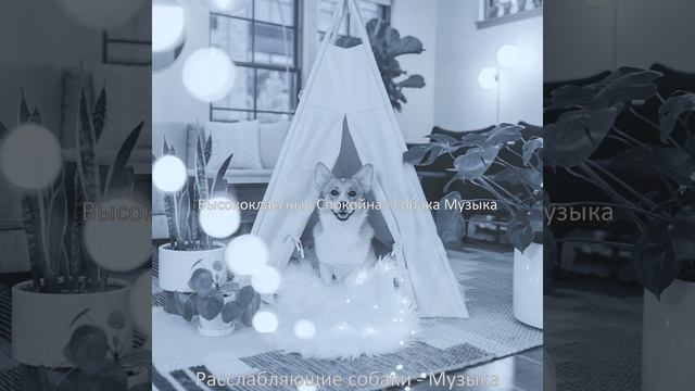 Музыка (Впечатление) смотреть онлайн