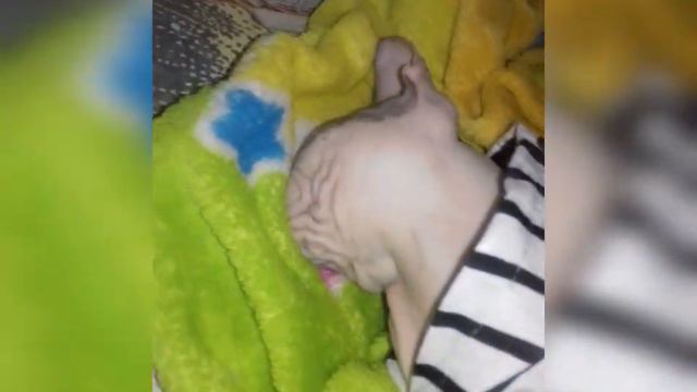 Как так можно спать 😂смотрите до конца. смотреть онлайн
