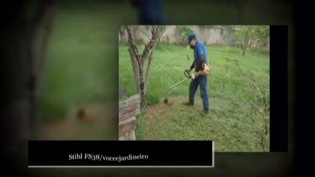 STIHL FS 38 Voceejardineiro смотреть онлайн