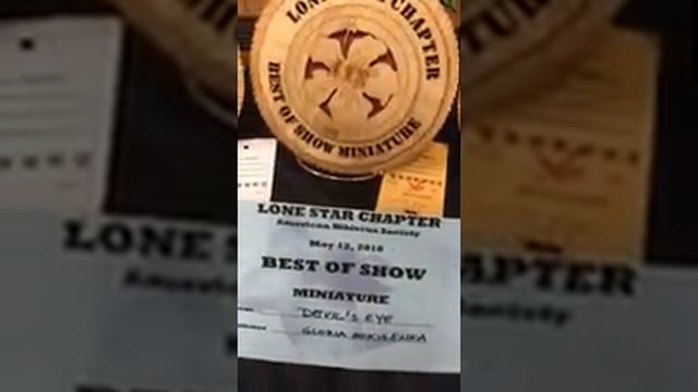 Lone Star Hibiscus Show 1, May 12, 2018 смотреть онлайн