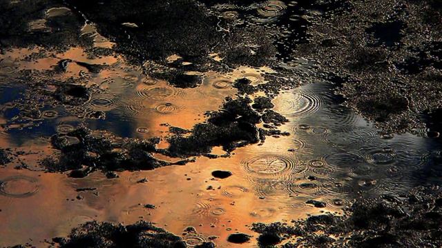 The Windows of the World - Dionne Warwick sings Bacharach, Hal David смотреть онлайн