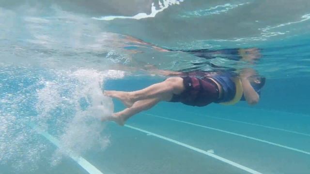 Teach Doggie Paddle To A Child [Basic Skill] смотреть онлайн