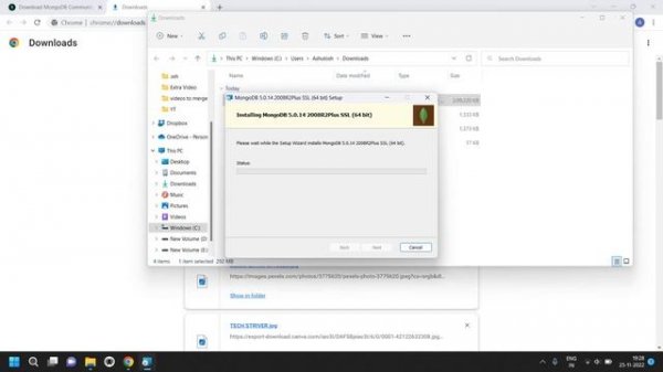Mongo DB Installation