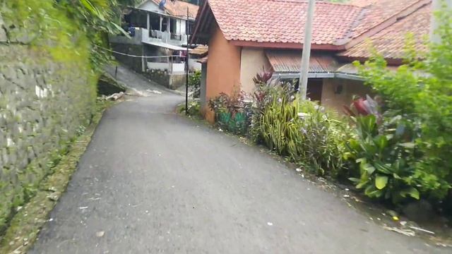 Indonesia Walks 213, Petahunan Village, Pekuncen District, Banyumas Regency,Central Java,Indonesia смотреть онлайн