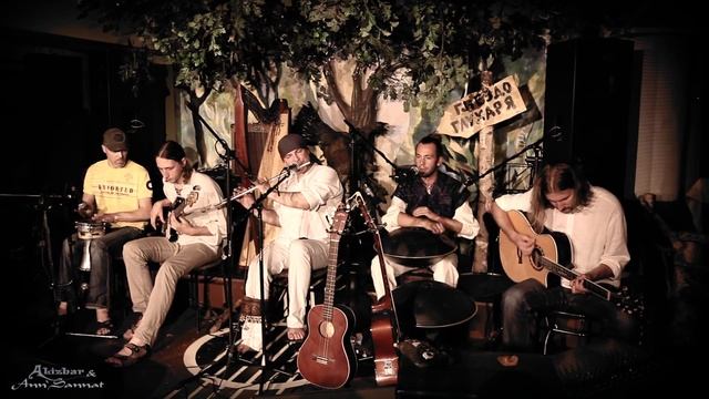Promo Video Alizbar & Ann'Sannat / Промо-ролик/ Celtic Harp / Hang /array Mbira/ Harp Guitar / гусл