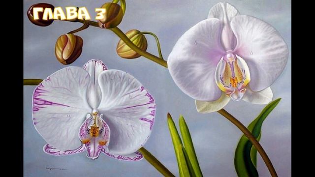 ГЛАВА 3. ПЛАМЯ ИНИЦИАЦИИ смотреть онлайн