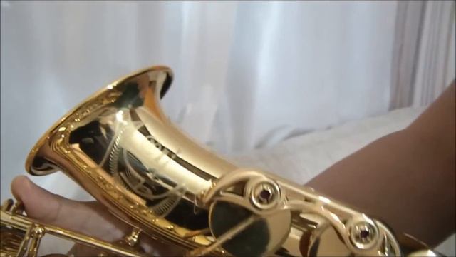 Sax Alto YAMAHA YAS 62 A VENDA !!! смотреть онлайн