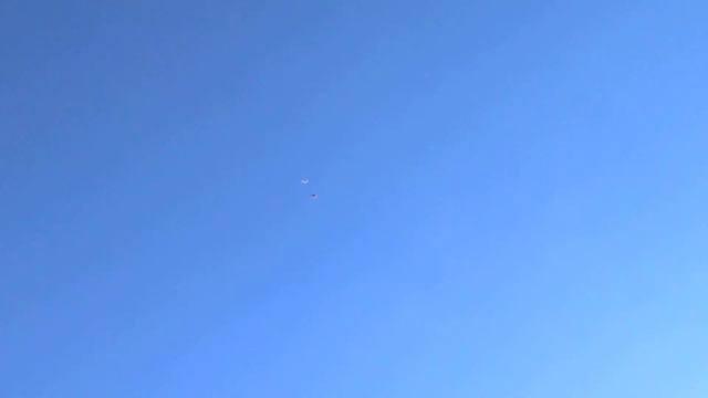 Намазали малинкой а их и кобец не берёт смотреть онлайн