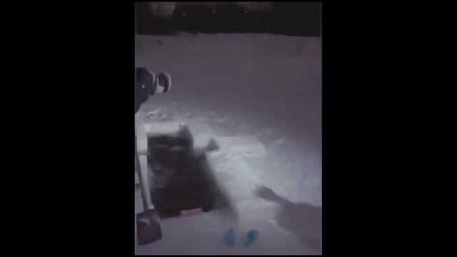 Утонувшая в проруби в крещение - Как спасатели нашли и достали тело женщины, утонувшей на Крещение