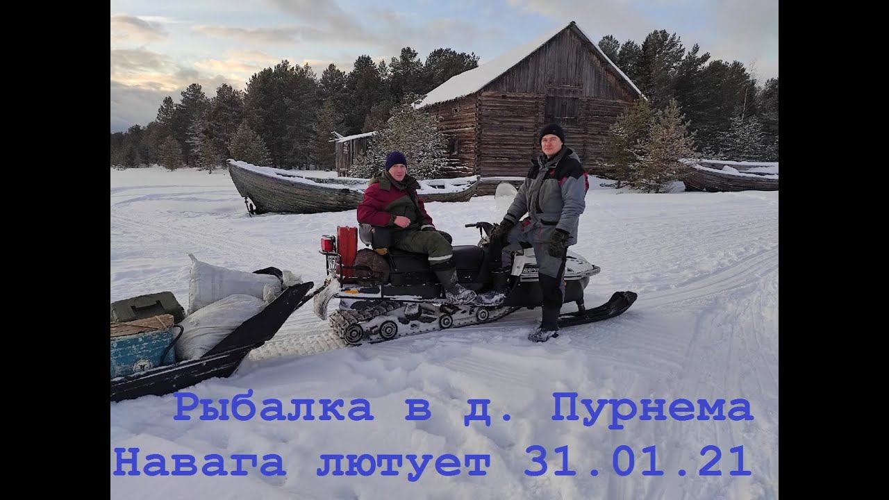 Ловля наваги на Белом море (дер. Пурнема)