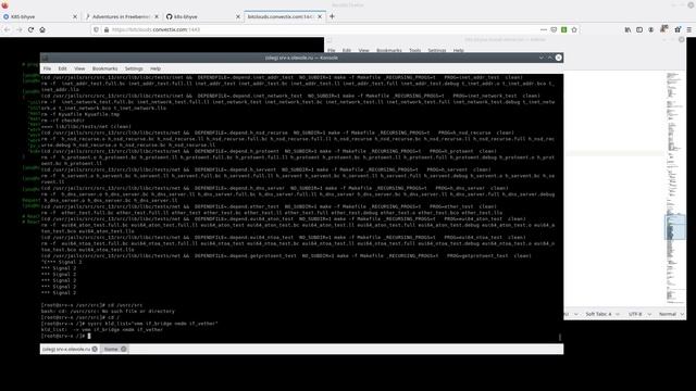 k8s-bhyve internal (freebsd-side settings) (rus) смотреть онлайн