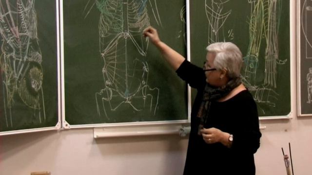 Мышцы грудной клетки и живота